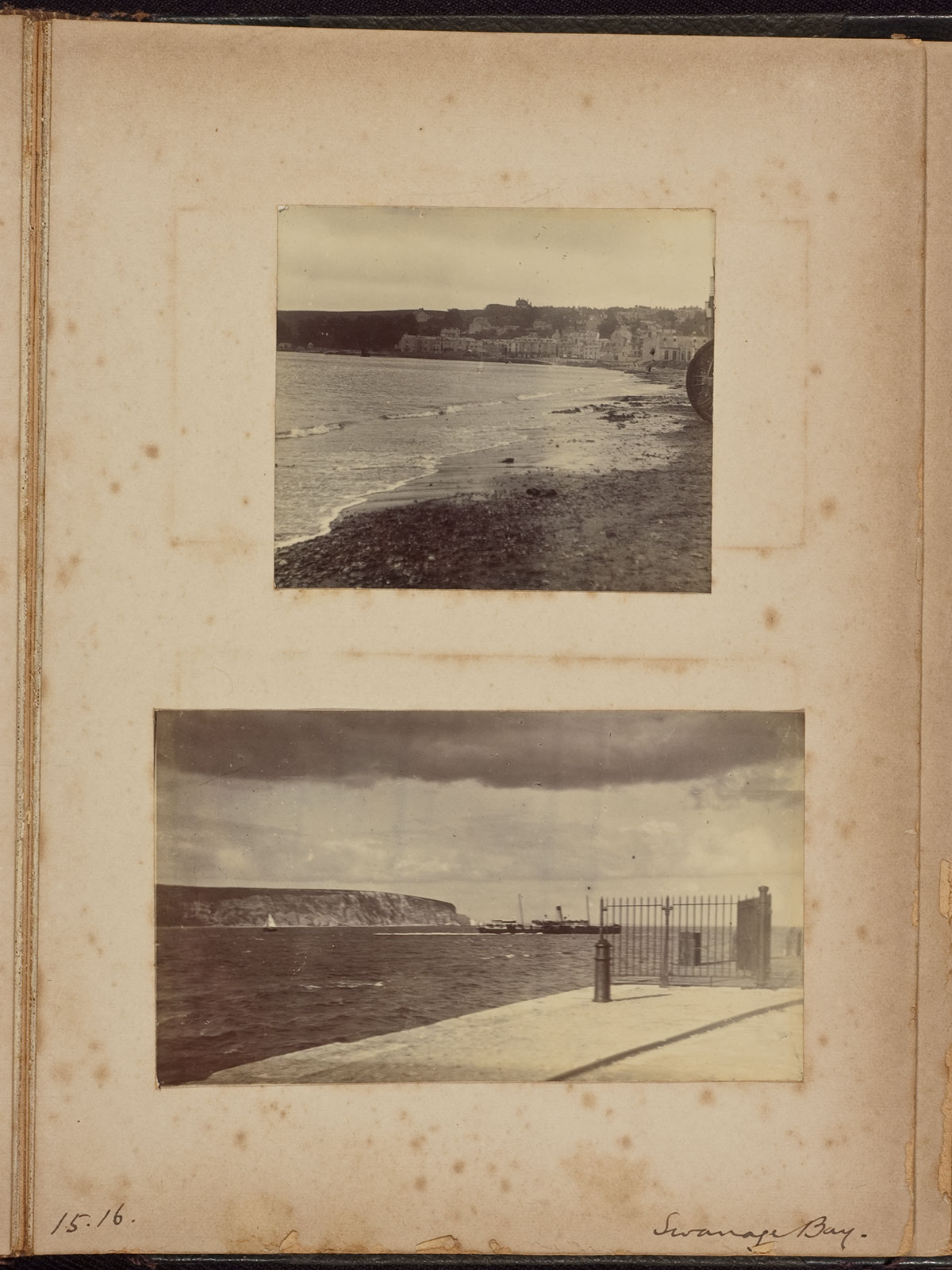 Albumen_15_16