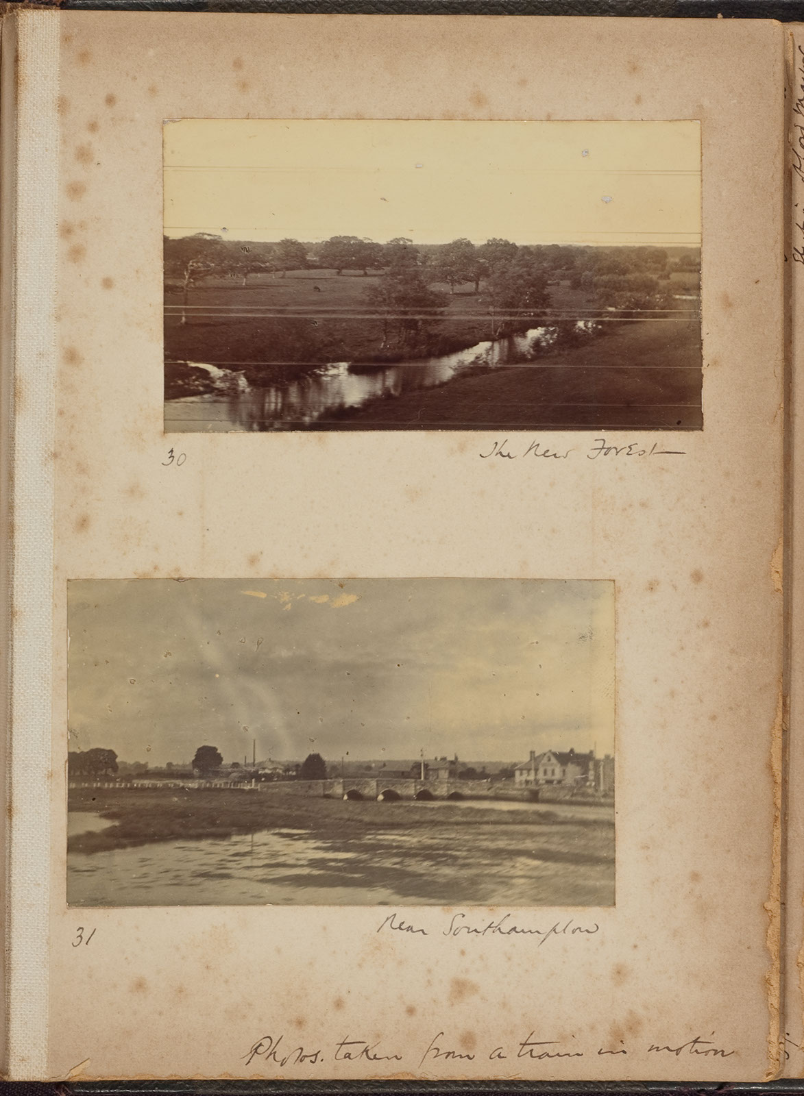 Albumen_30_31