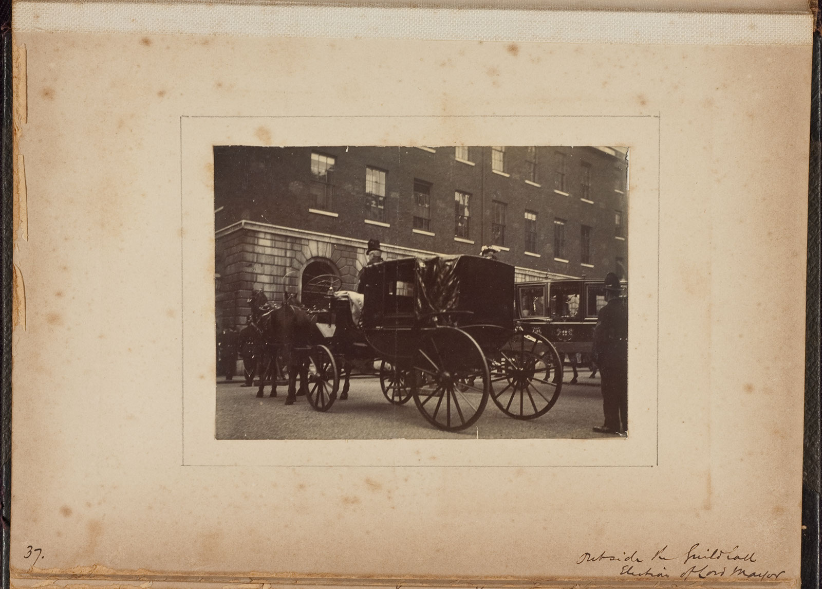 Albumen_37