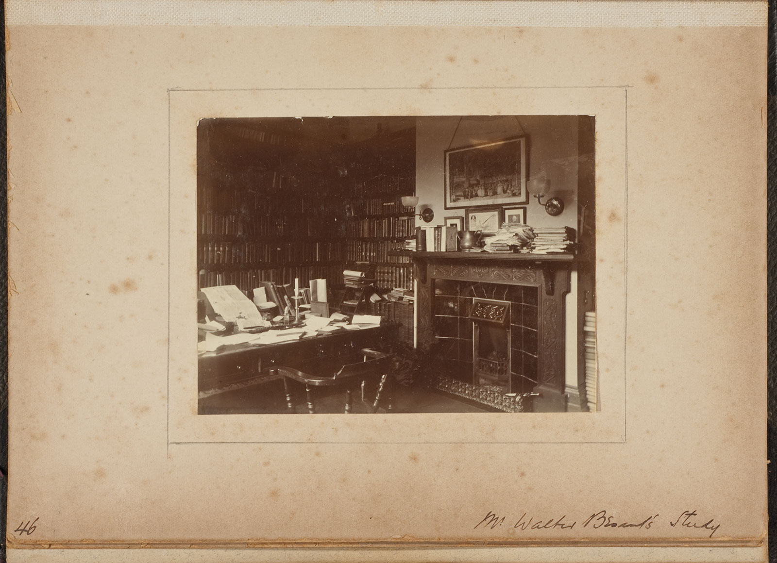 Albumen_46